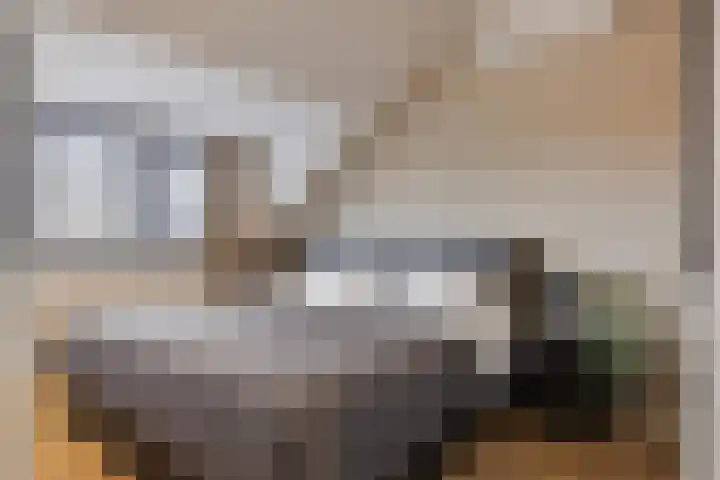 Fransebaan 430 Eindhoven thumbnail 36