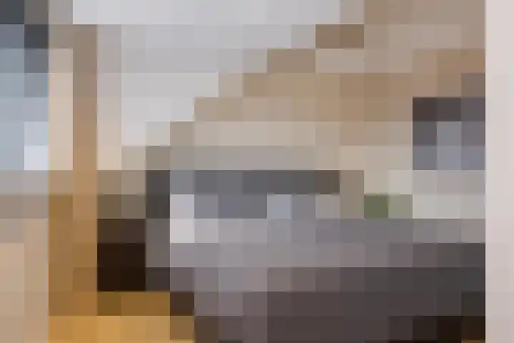 Fransebaan 430 Eindhoven thumbnail 37