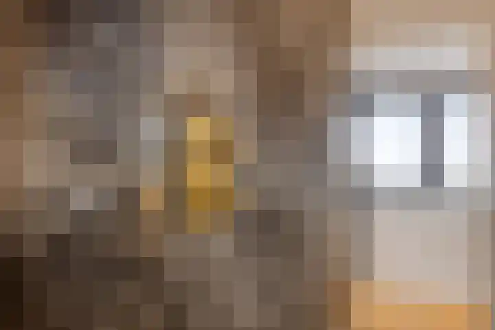 Fransebaan 430 Eindhoven thumbnail 42