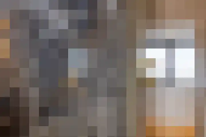 Fransebaan 430 Eindhoven thumbnail 43