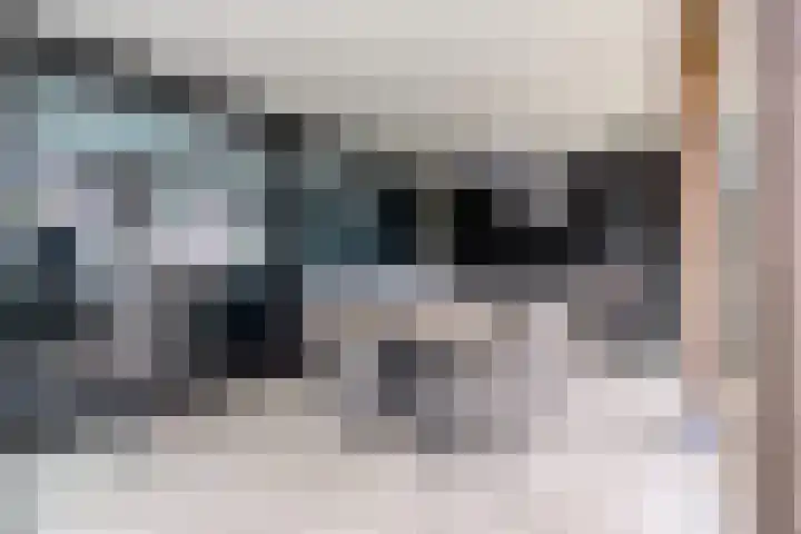 Fransebaan 430 Eindhoven thumbnail 47