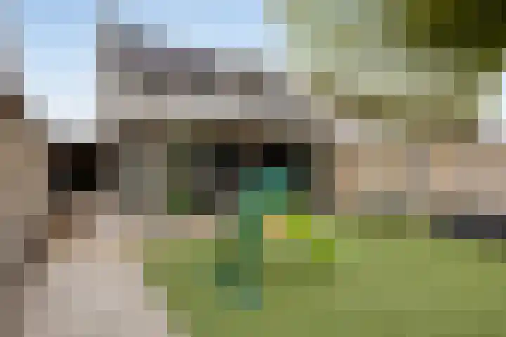 Fransebaan 430 Eindhoven thumbnail 52