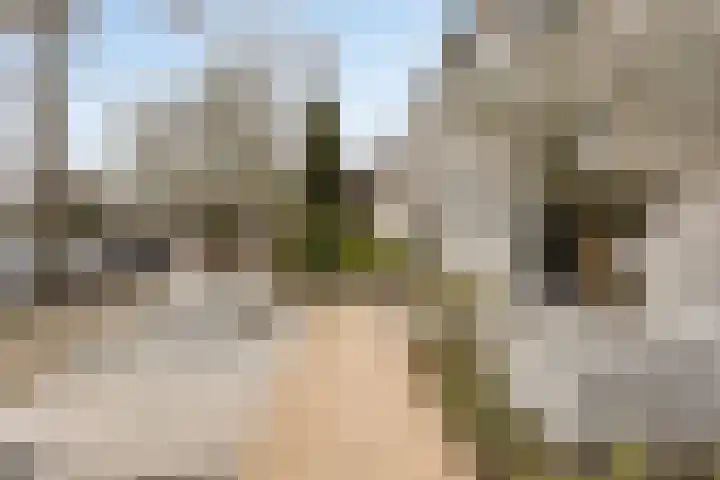 Fransebaan 430 Eindhoven thumbnail 7
