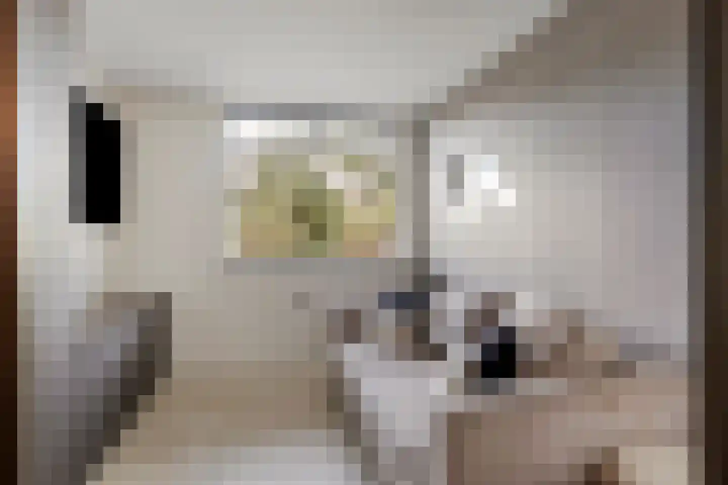 Fransebaan 493 Eindhoven thumbnail 13