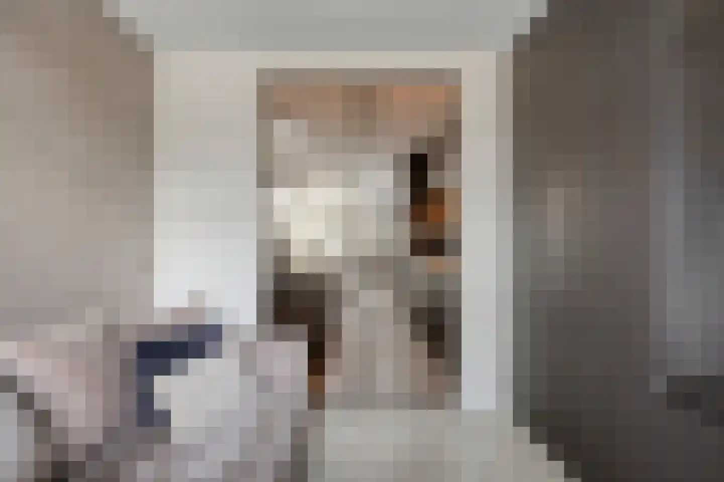 Fransebaan 493 Eindhoven thumbnail 14