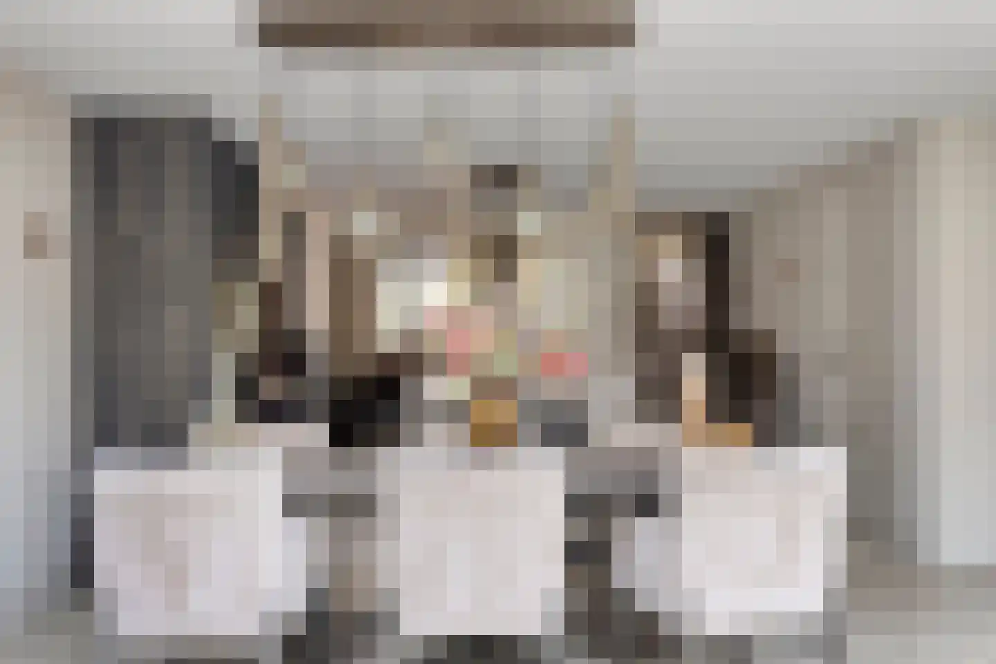 Fransebaan 493 Eindhoven thumbnail 15