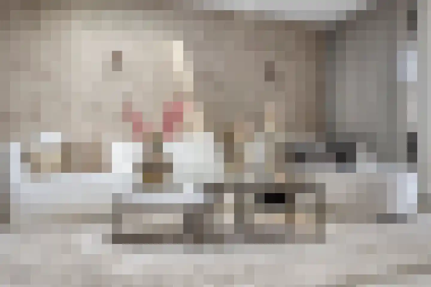 Fransebaan 493 Eindhoven thumbnail 19