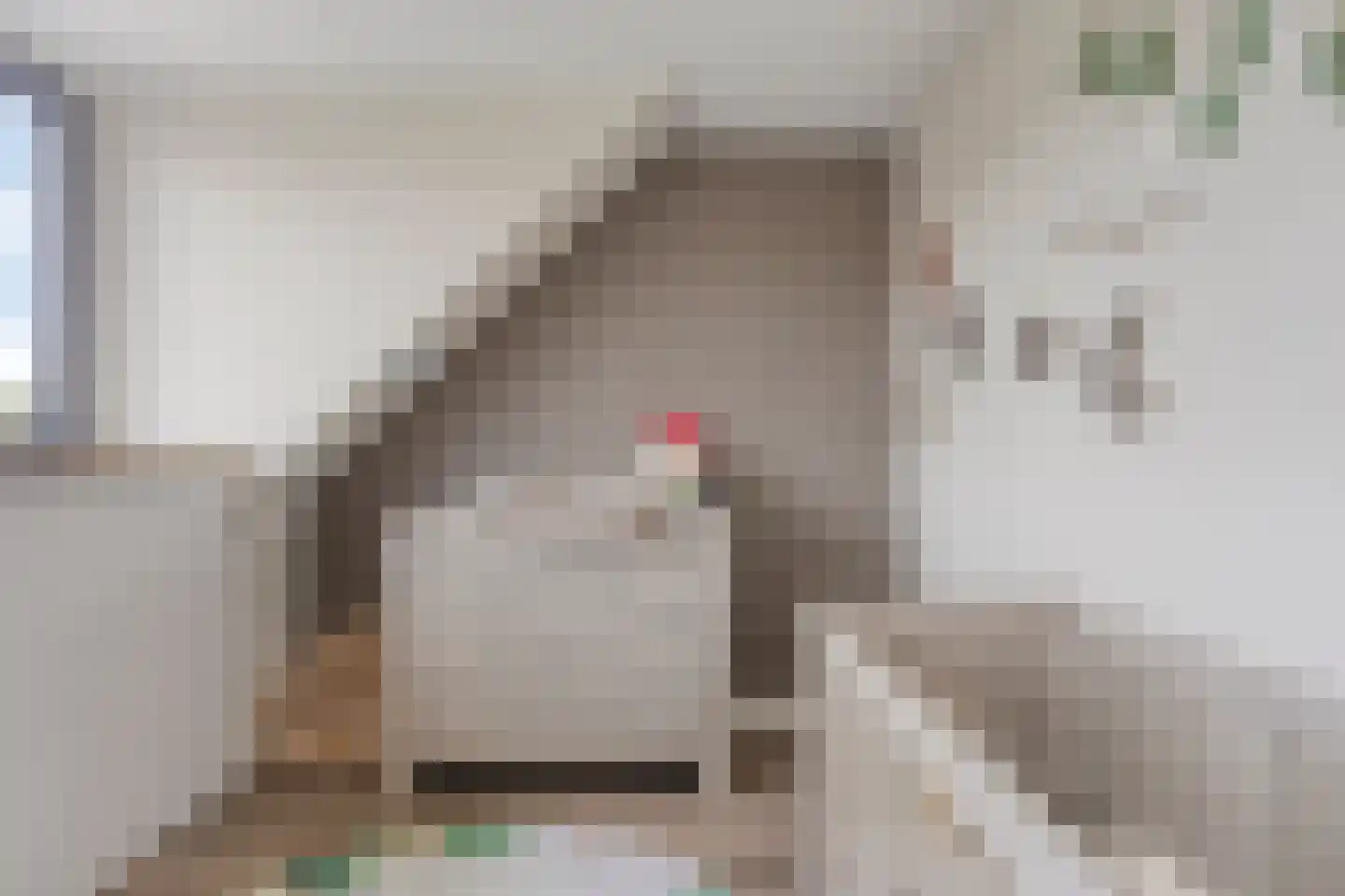 Fransebaan 493 Eindhoven thumbnail 34