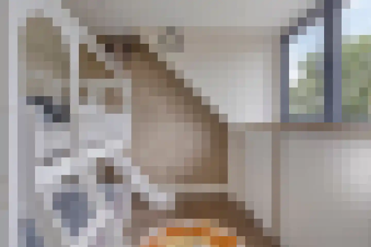 Fransebaan 493 Eindhoven thumbnail 36