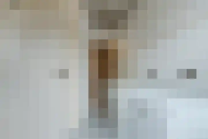 Fransebaan 528 Eindhoven thumbnail 11