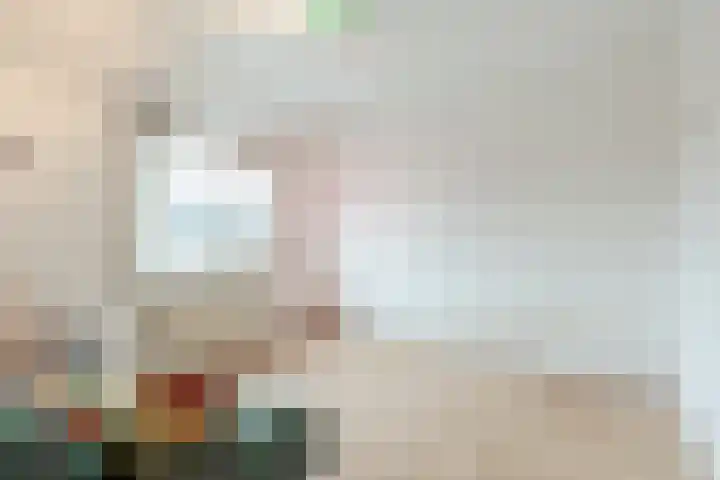 Fransebaan 528 Eindhoven thumbnail 13