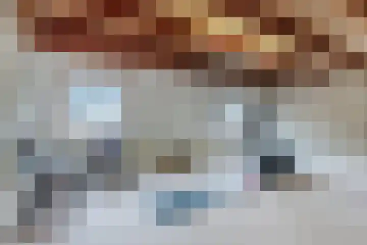 Fransebaan 528 Eindhoven thumbnail 27