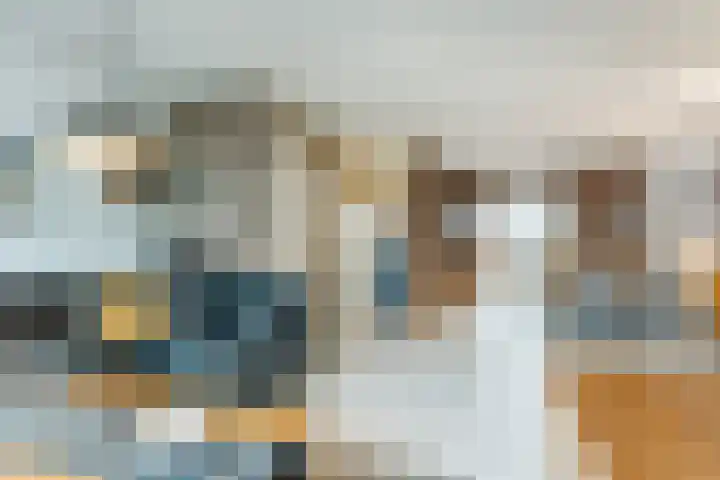 Fransebaan 528 Eindhoven thumbnail 5