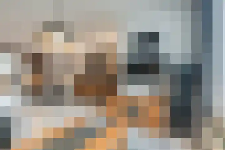 Fransebaan 528 Eindhoven thumbnail 6