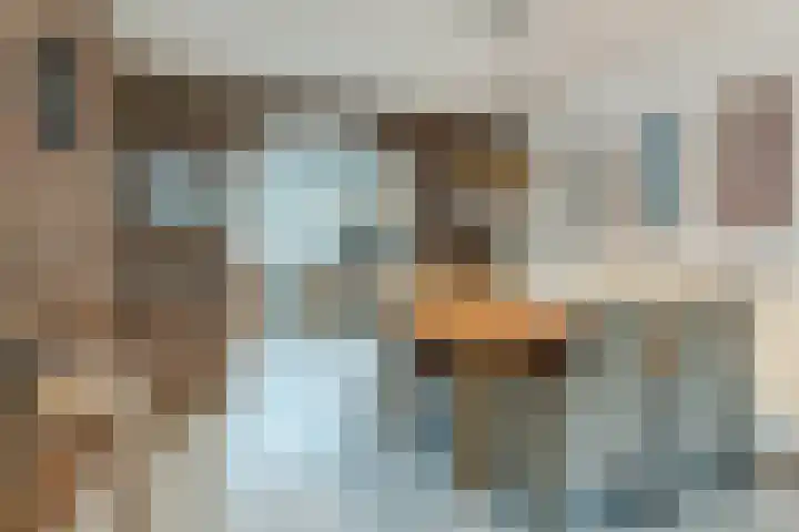Fransebaan 528 Eindhoven thumbnail 8