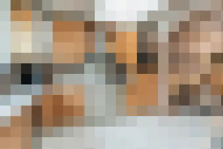 Fransebaan 528 Eindhoven thumbnail 9