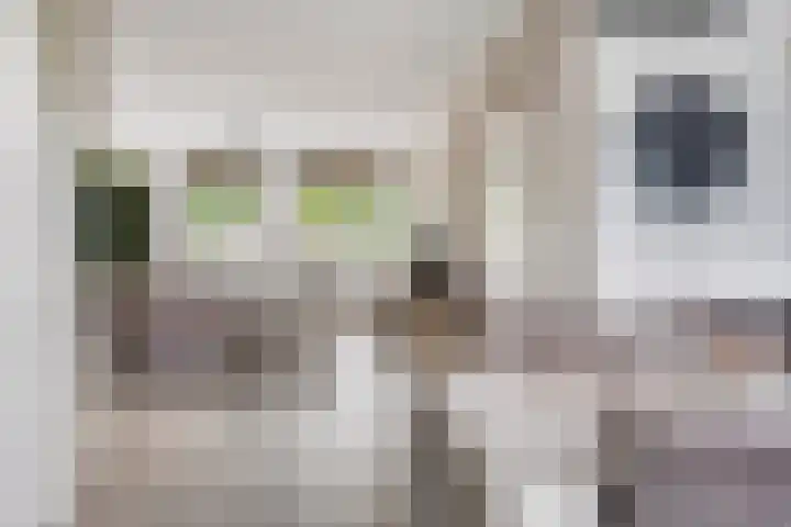Fransebaan 557 Eindhoven thumbnail 11