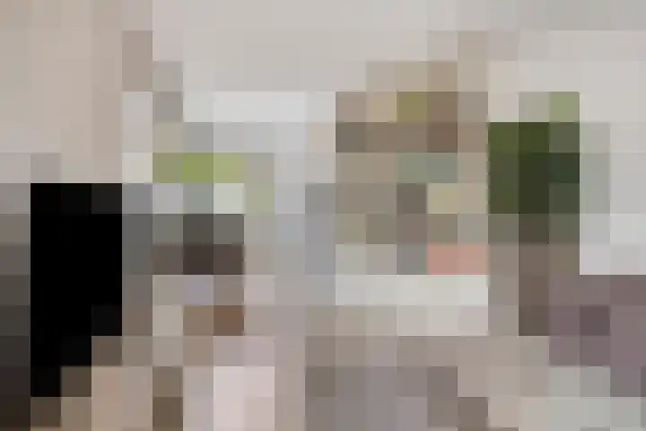Fransebaan 557 Eindhoven thumbnail 13