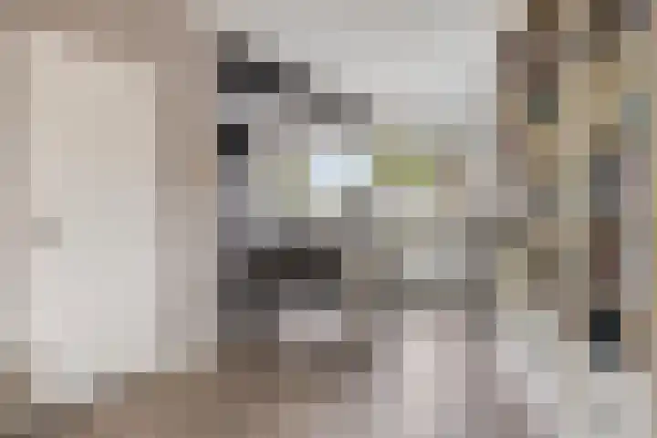 Fransebaan 557 Eindhoven thumbnail 14