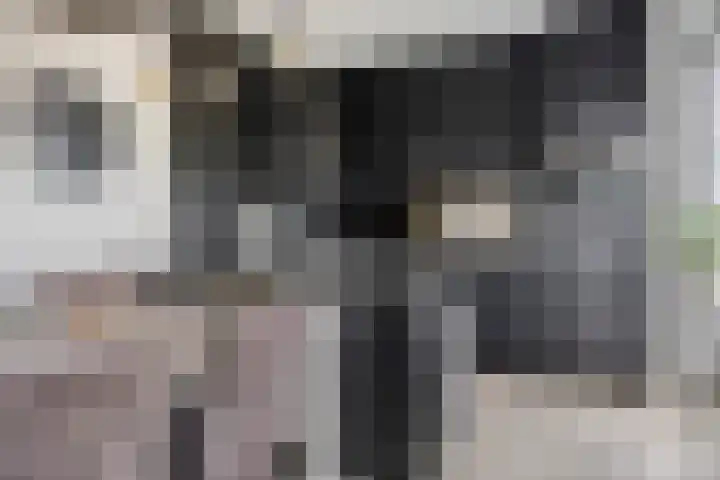Fransebaan 557 Eindhoven thumbnail 16