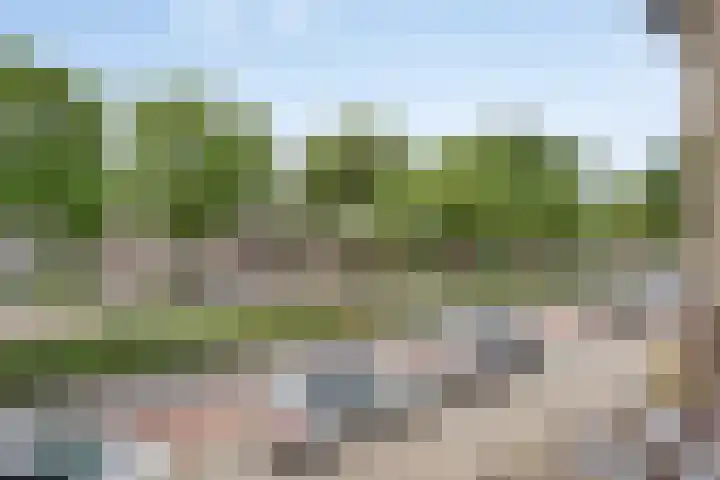 Fransebaan 557 Eindhoven thumbnail 22