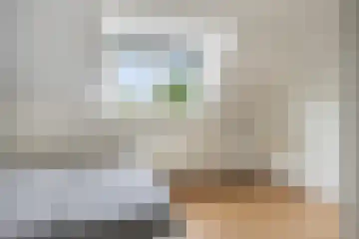 Fransebaan 557 Eindhoven thumbnail 24