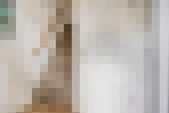 Fransebaan 557 Eindhoven thumbnail 6