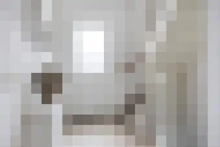Fransebaan 557 Eindhoven thumbnail 8