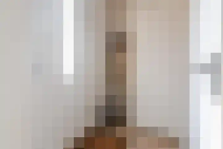 Fransebaan 561 Eindhoven thumbnail 10