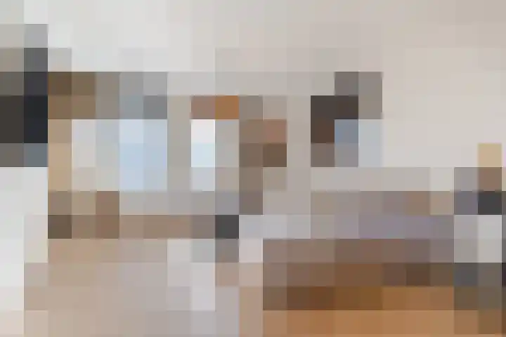 Fransebaan 561 Eindhoven thumbnail 12