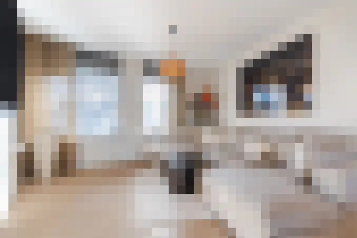 Fransebaan 561 Eindhoven thumbnail 13