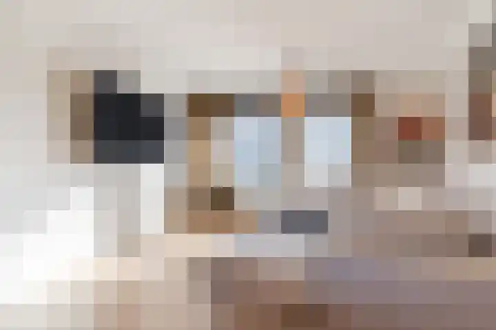 Fransebaan 561 Eindhoven thumbnail 14