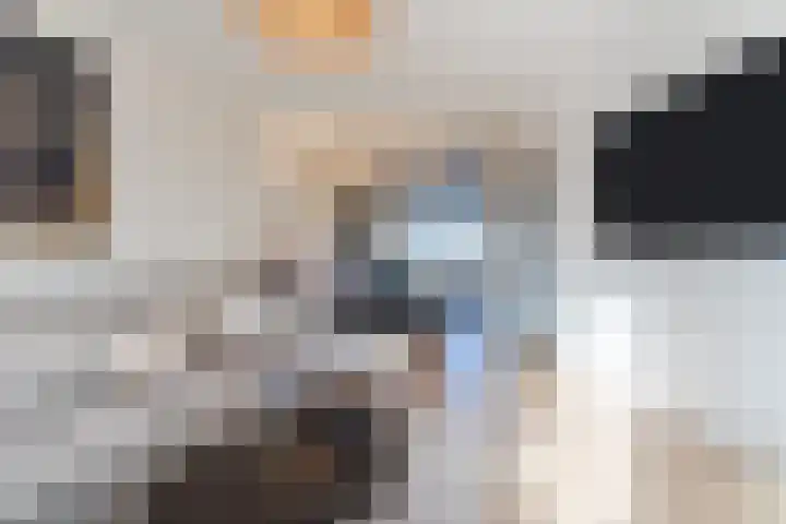 Fransebaan 561 Eindhoven thumbnail 15