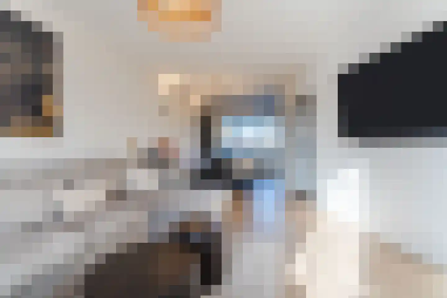 Fransebaan 561 Eindhoven thumbnail 15