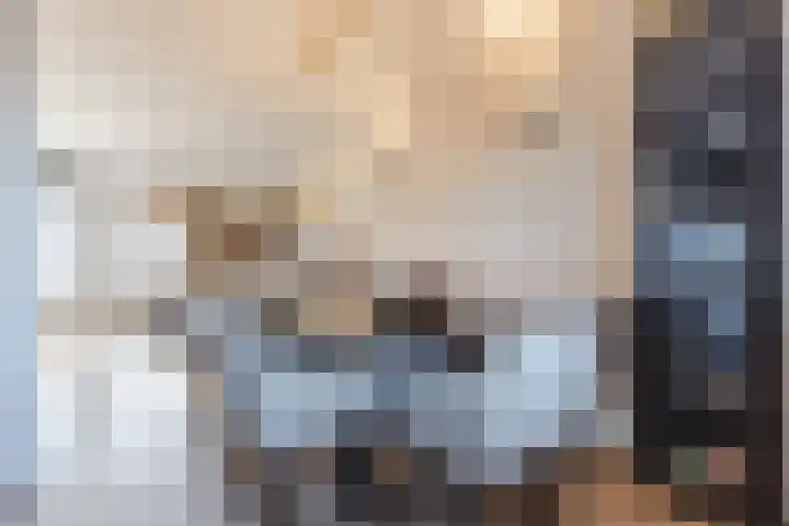 Fransebaan 561 Eindhoven thumbnail 17
