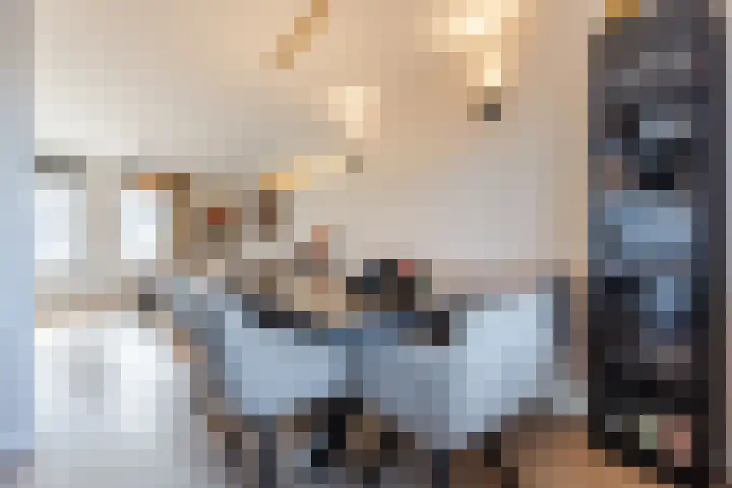Fransebaan 561 Eindhoven thumbnail 17