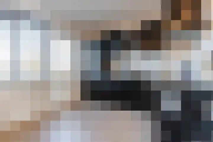 Fransebaan 561 Eindhoven thumbnail 20