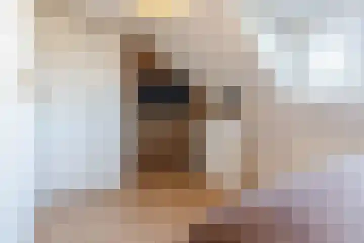 Fransebaan 561 Eindhoven thumbnail 29