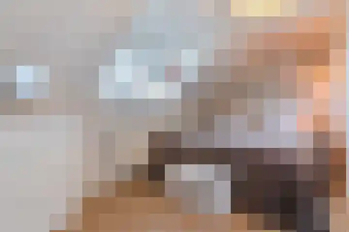 Fransebaan 561 Eindhoven thumbnail 31