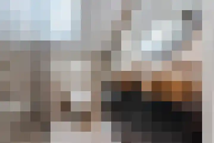 Fransebaan 561 Eindhoven thumbnail 32
