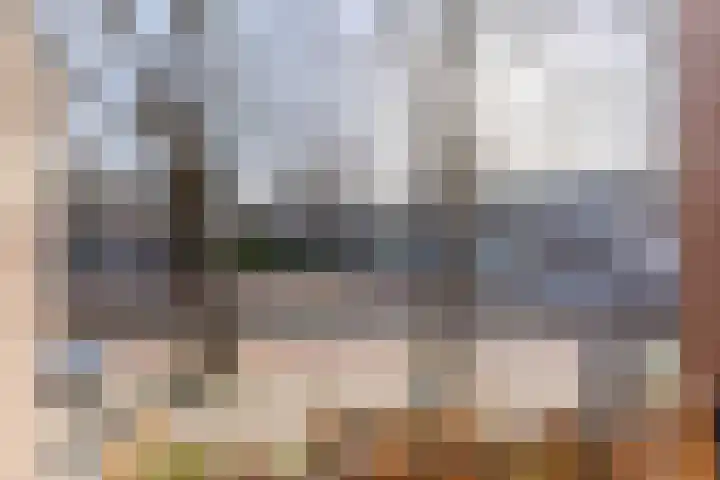 Fransebaan 561 Eindhoven thumbnail 38