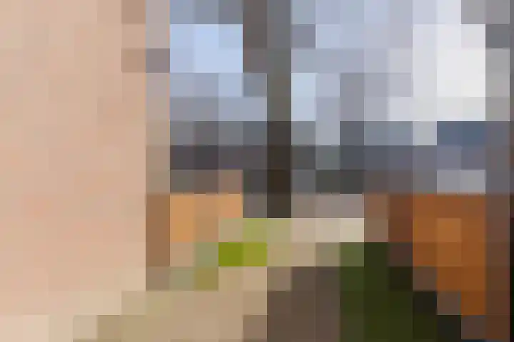 Fransebaan 561 Eindhoven thumbnail 7
