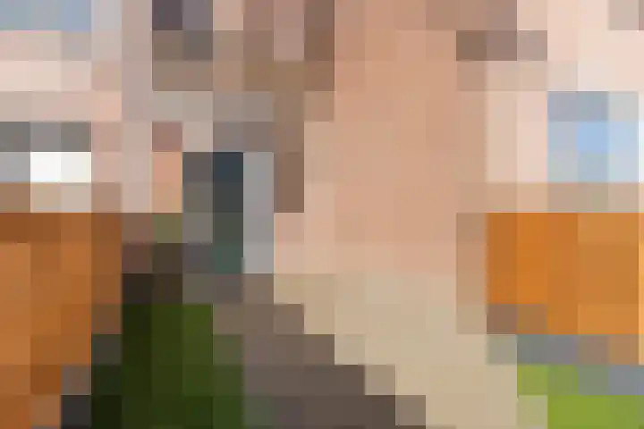 Fransebaan 561 Eindhoven thumbnail 8