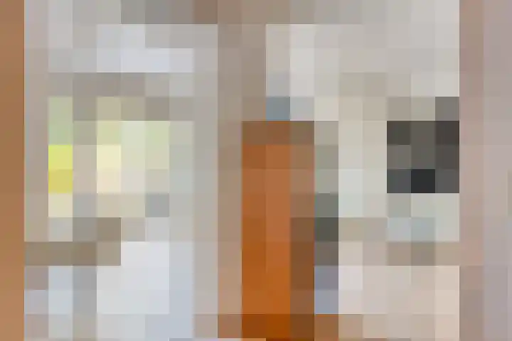 Fransebaan 563 Eindhoven thumbnail 18