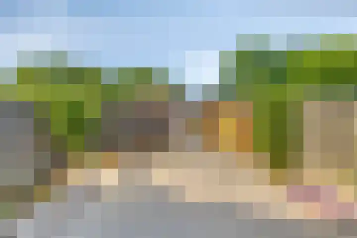 Fransebaan 563 Eindhoven thumbnail 32
