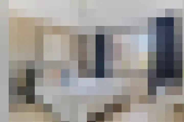 Fransebaan 563 Eindhoven thumbnail 4