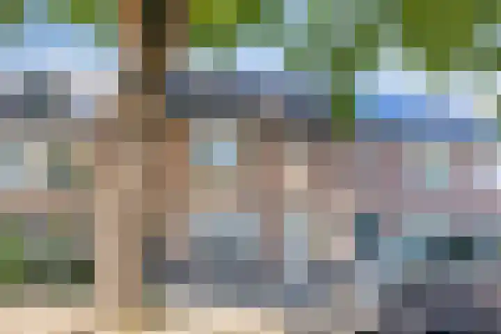 Fransebaan 563 Eindhoven thumbnail 42