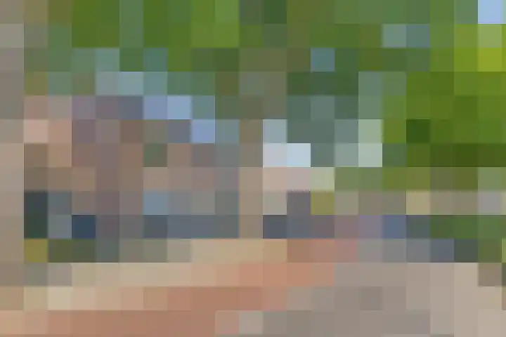Fransebaan 563 Eindhoven thumbnail 9