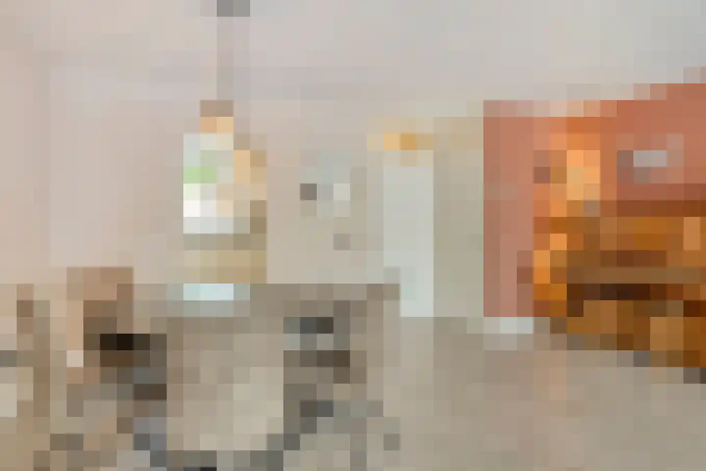 Fransebaan 572 Eindhoven thumbnail 16