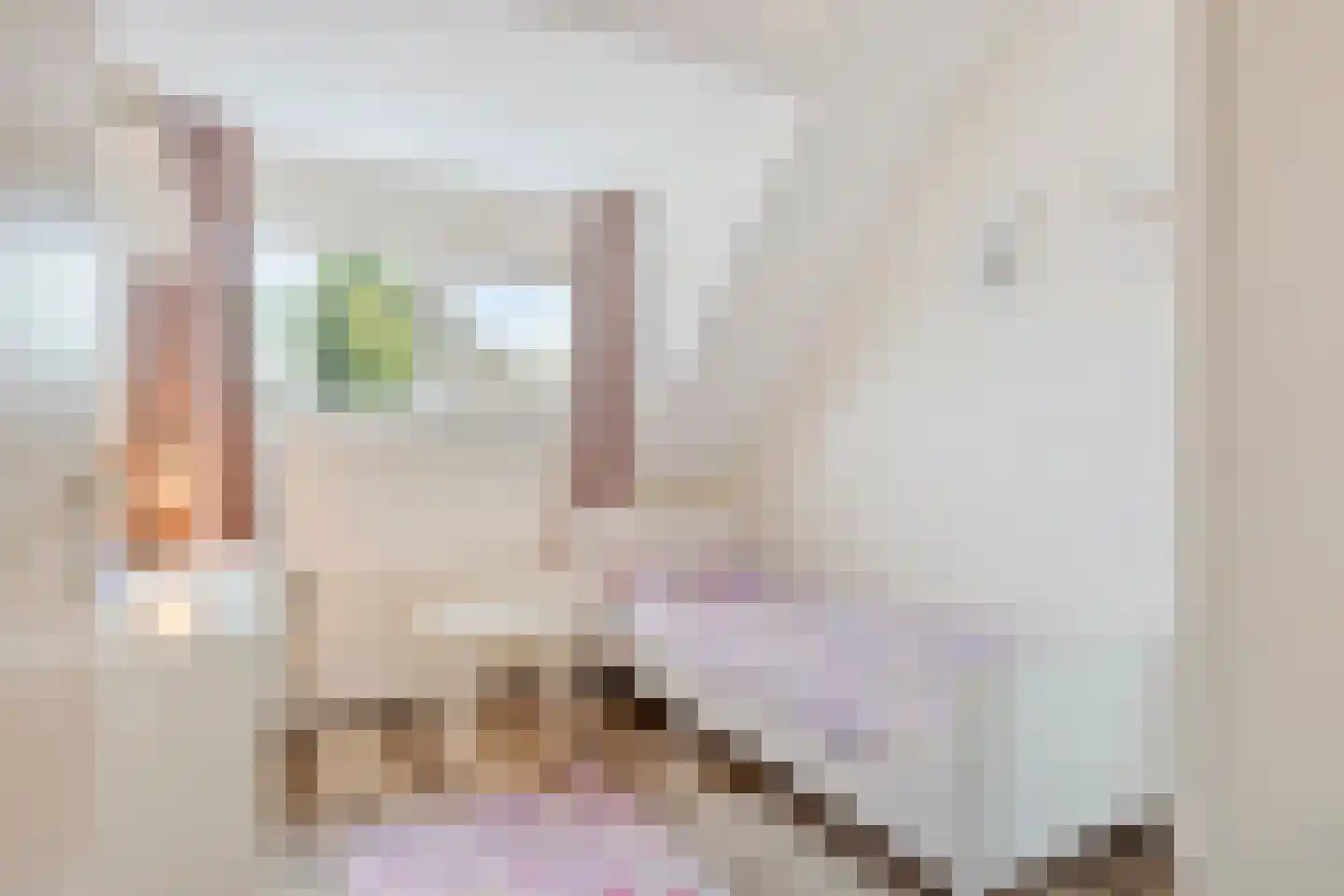 Fransebaan 572 Eindhoven thumbnail 30